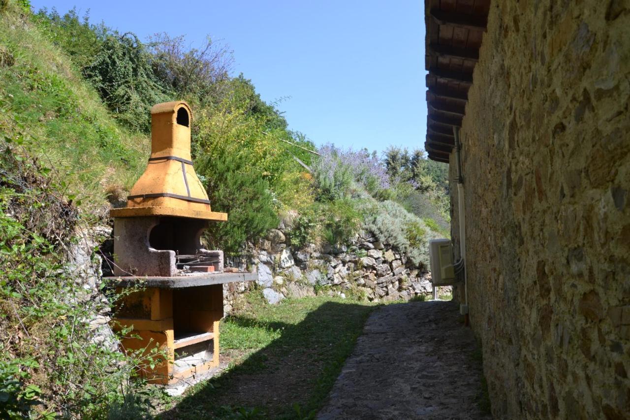 Casa Beatrice Villa Camaiore Kültér fotó