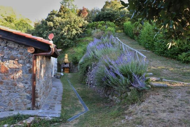 Casa Beatrice Villa Camaiore Kültér fotó
